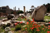 Forum Romanum